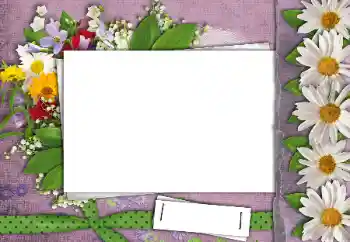 Fotoeffekt fra kategori Kvinnelige fotorammer № 24462
