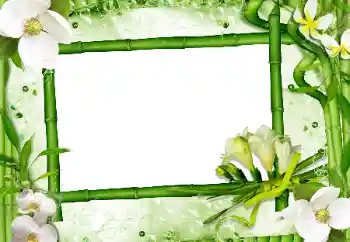 Fotoeffekt fra kategori Kvinnelige fotorammer № 24470