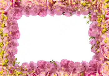 Fotoeffekt fra kategori Kvinnelige fotorammer № 244