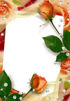 Fotoeffekt fra kategori Kvinnelige fotorammer № 249