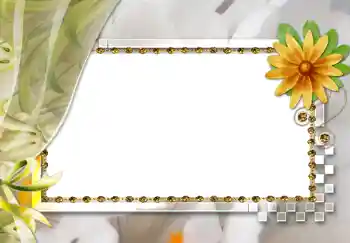 Fotoeffekt fra kategori Kvinnelige fotorammer № 264