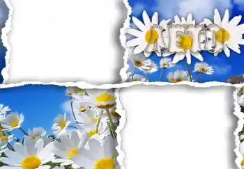 Fotoeffekt fra kategori Kvinnelige fotorammer № 267. Innskriften på rammen: Лето. Fotoeffekt fra kategori Kvinnelige fotorammer № 267. Innskriften på rammen: Лето.