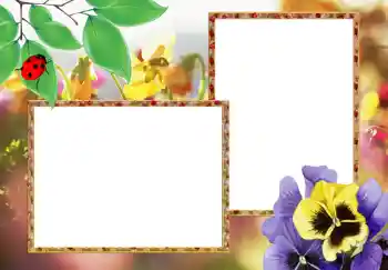 Fotoeffekt fra kategori Kvinnelige fotorammer № 273