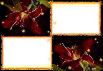 Fotoeffekt fra kategori Kvinnelige fotorammer № 27702 Fotoeffekt fra kategori Kvinnelige fotorammer № 27702