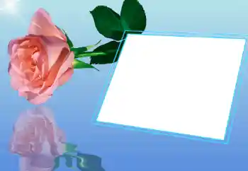Fotoeffekt fra kategori Kvinnelige fotorammer № 32721