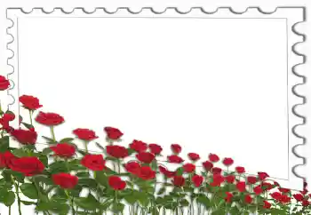 Fotoeffekt fra kategori Kvinnelige fotorammer № 4162