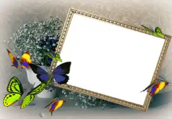 Fotoeffekt fra kategori Kvinnelige fotorammer № 43592