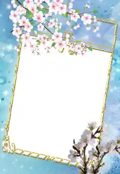 Fotoeffekt fra kategori Kvinnelige fotorammer № 43639