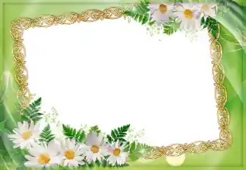 Fotoeffekt fra kategori Kvinnelige fotorammer № 45907