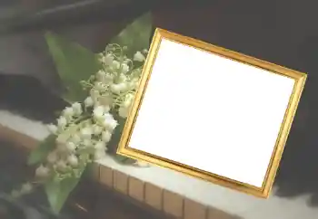 Fotoeffekt fra kategori Kvinnelige fotorammer № 45929
