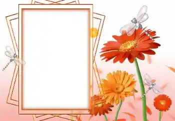 Fotoeffekt fra kategori Kvinnelige fotorammer № 47199
