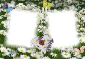 Fotoeffekt fra kategori Kvinnelige fotorammer № 49398