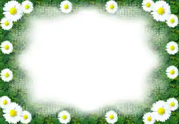 Fotoeffekt fra kategori Kvinnelige fotorammer № 49443 Fotoeffekt fra kategori Kvinnelige fotorammer № 49443