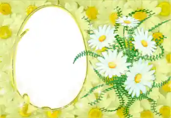Fotoeffekt fra kategori Kvinnelige fotorammer № 50878