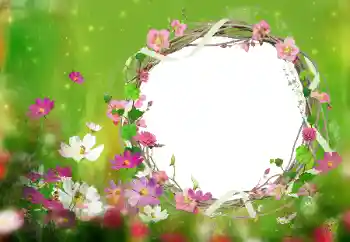 Fotoeffekt fra kategori Kvinnelige fotorammer № 52077