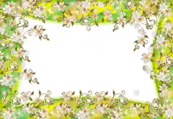 Fotoeffekt fra kategori Kvinnelige fotorammer № 52181