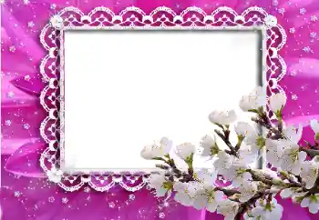 Fotoeffekt fra kategori Kvinnelige fotorammer № 53333