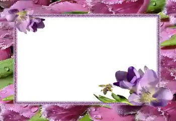 Fotoeffekt fra kategori Kvinnelige fotorammer № 5506