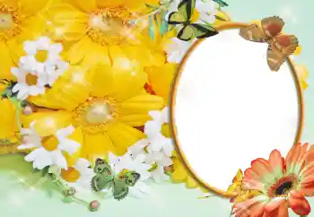Fotoeffekt fra kategori Kvinnelige fotorammer № 55529