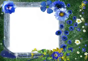 Fotoeffekt fra kategori Kvinnelige fotorammer № 56531