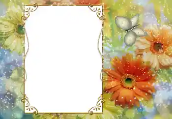 Fotoeffekt fra kategori Kvinnelige fotorammer № 56557