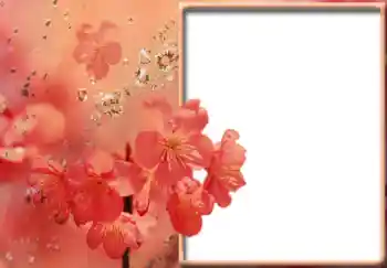 Fotoeffekt fra kategori Kvinnelige fotorammer № 57711