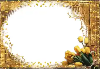 Fotoeffekt fra kategori Kvinnelige fotorammer № 60398