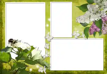 Fotoeffekt fra kategori Kvinnelige fotorammer № 70903