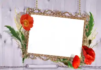 Fotoeffekt fra kategori Kvinnelige fotorammer № 7499