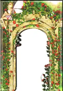 Fotoeffekt fra kategori Kvinnelige fotorammer № 7510