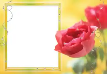 Fotoeffekt fra kategori Kvinnelige fotorammer № 80125