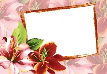 Fotoeffekt fra kategori Kvinnelige fotorammer № 80320