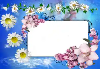 Fotoeffekt fra kategori Kvinnelige fotorammer № 80388