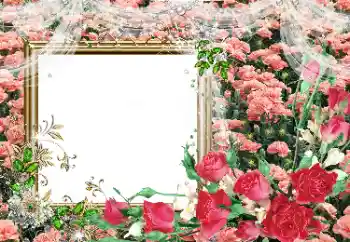 Fotoeffekt fra kategori Kvinnelige fotorammer № 80390
