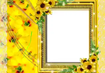Fotoeffekt fra kategori Kvinnelige fotorammer № 8502
