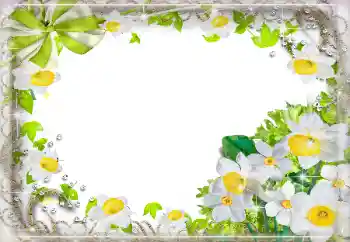 Fotoeffekt fra kategori Kvinnelige fotorammer № 94724