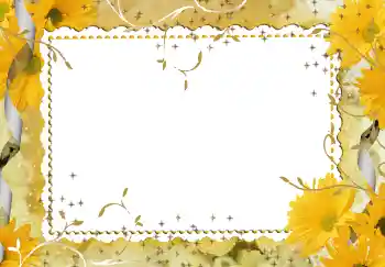 Fotoeffekt fra kategori Kvinnelige fotorammer № 94746