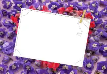 Fotoeffekt fra kategori Kvinnelige fotorammer № 9481
