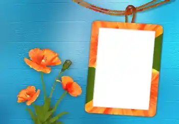 Fotoeffekt fra kategori Kvinnelige fotorammer № 98705