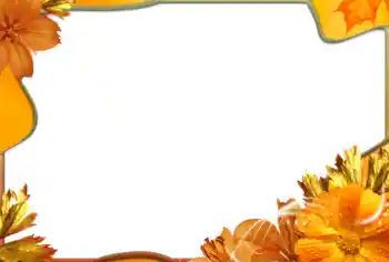 Fotoeffekt fra kategori Kvinnelige fotorammer № 99971